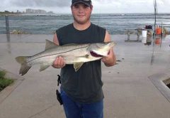 Snook caught at the Fort Pierce Inlet south jetty.