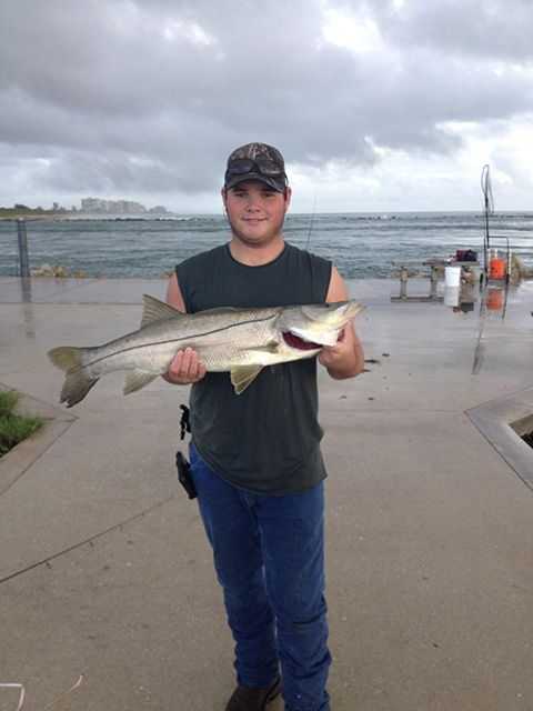 Snook caught at the Fort Pierce Inlet south jetty.
