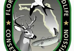 fwc