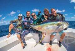 spearing yellowfin tuna