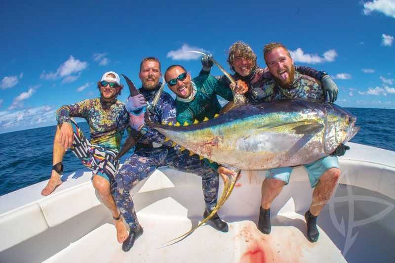 spearing yellowfin tuna