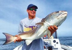 Redfish