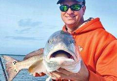 Redfish