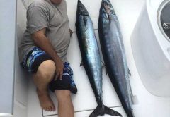 Two wahoo caught Dec 30 out of Grand Cay, Bahamas.