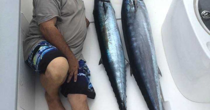 Two wahoo caught Dec 30 out of Grand Cay, Bahamas.