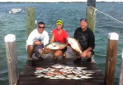A variety of fish caught in Spanish Wells, Bahamas.