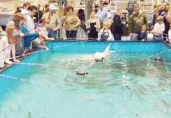 Raleigh-Fishing-Show