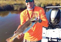 Redfish