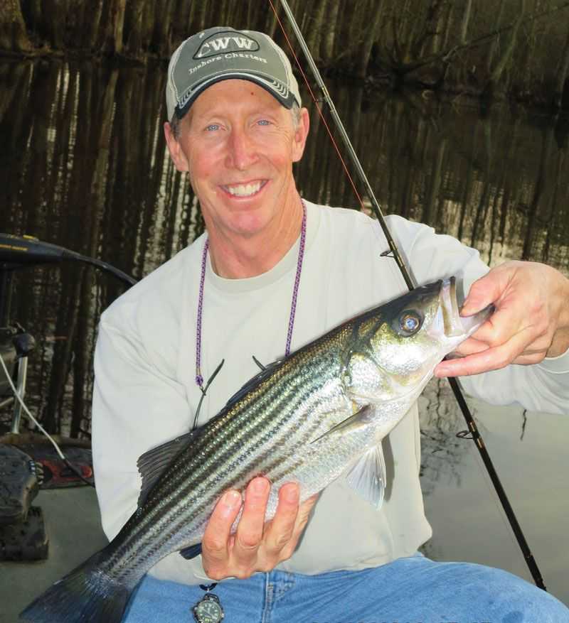 Cold weather means try Trent River stripers in North Carolina