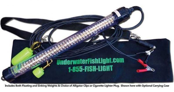 Underwater Fish Light