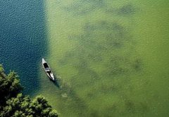 Phosphorus Waterways