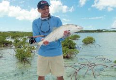 acklins island bonefish