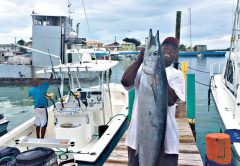 Bahamas-Wahoo