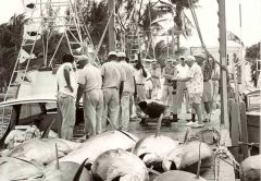 Bluefin-Tuna---6---dock