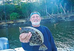 Early Flounder
