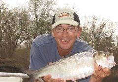 Featured-Collins-and-February-Shad