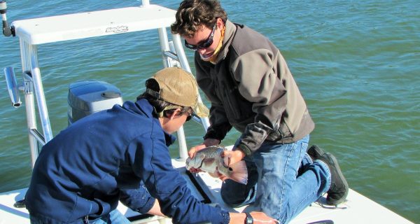 Fishing Anglers