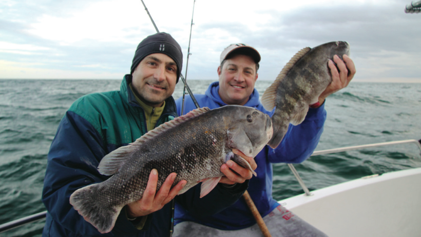 A tight drag and strong, braided line is what’s needed to pull bulldog ‘tog for offshore wrecks. Capt. Joey “Chasin’ Tail Leggio and Ralph D’Angelo had the formula right on this trip out of Jones Inlet