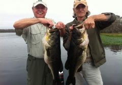 Daytona Fishing Reports