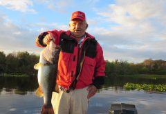 Daytona Fishing Report