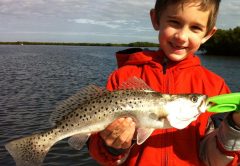 Daytona Fishing Reports