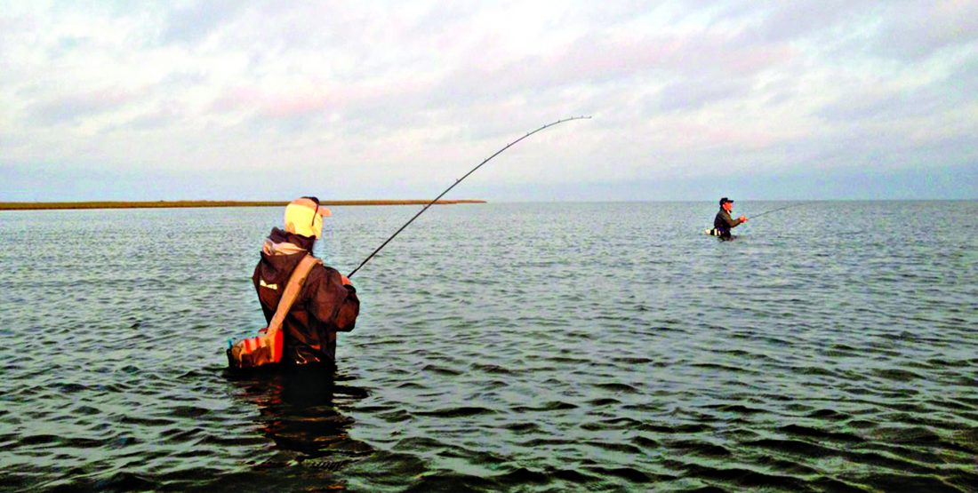 Coastal Fishing