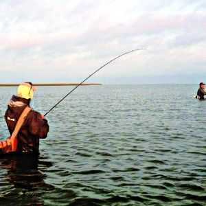 Coastal Fishing