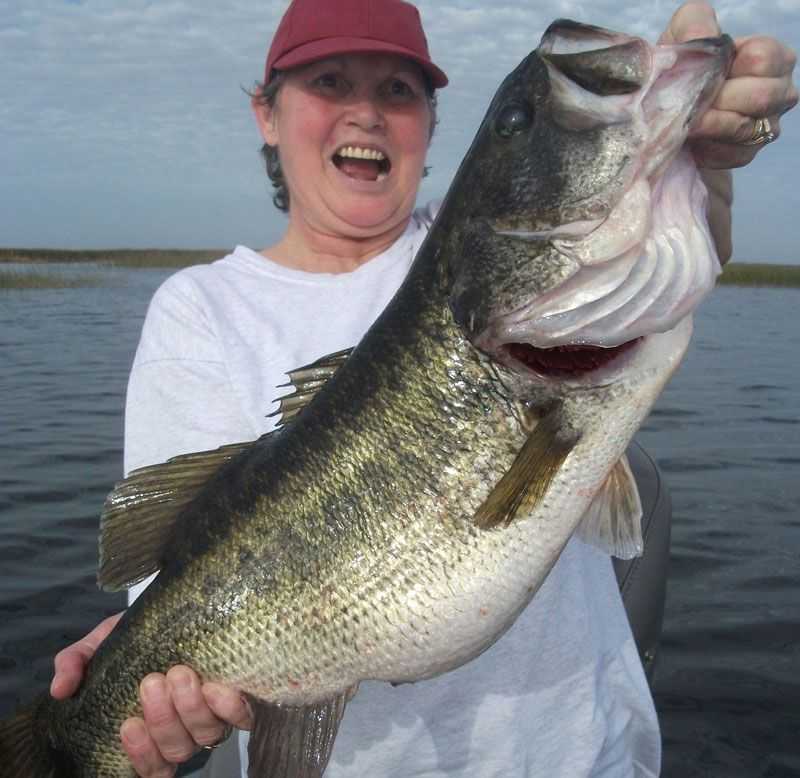 okeechobee-fishing-report