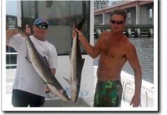Daytona Fishing Reports