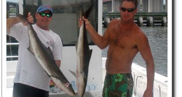 Daytona Fishing Reports