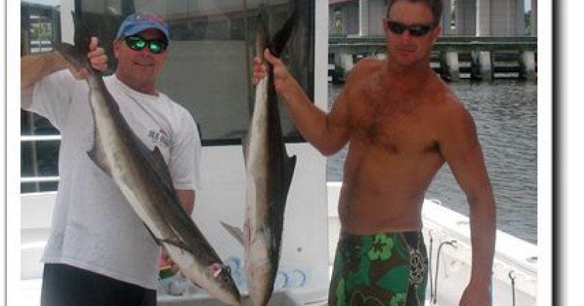 Daytona Fishing Reports