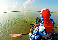 Paddle-Board