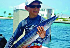 Wahoo-fish