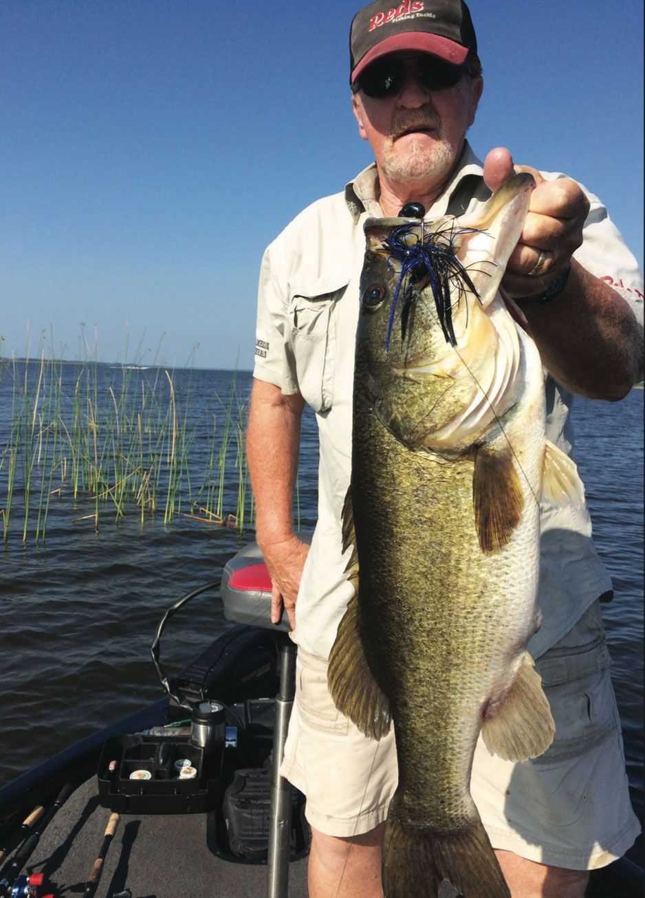 catch and release big bass