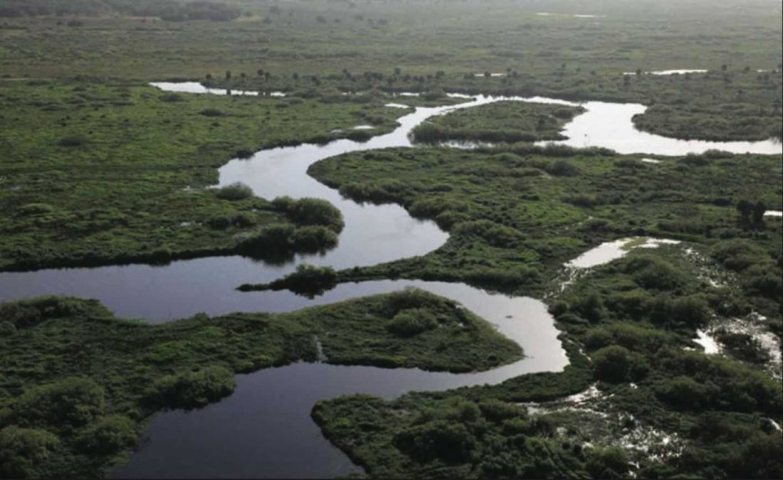 Lake Profile Kissimmee River Coastal Angler & The Angler Magazine