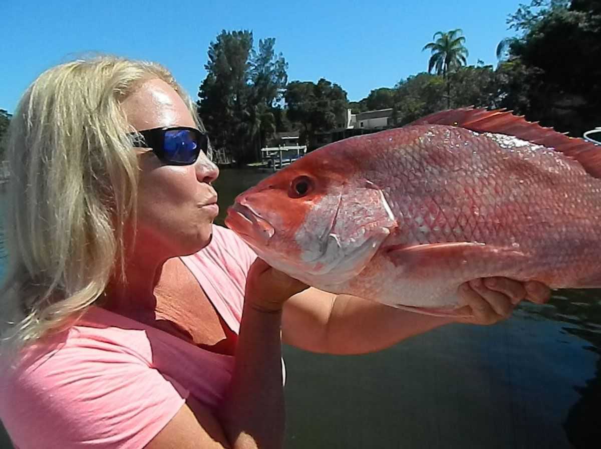 42 lb grouper and my biggest red snapper(red bass) yet