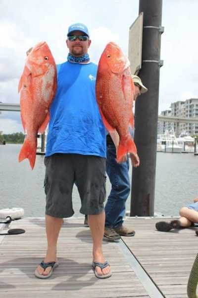 red snapper