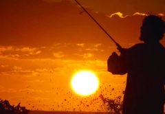 Profile Surf Fishing