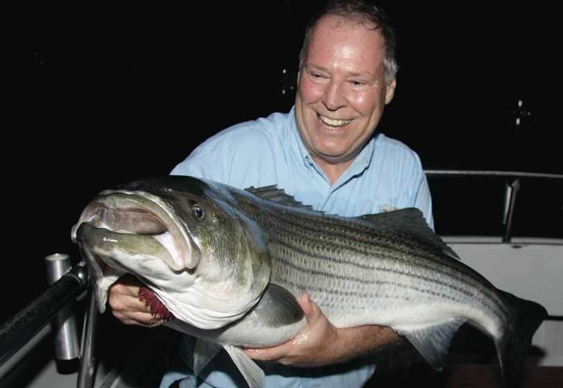 The author bested this chunky bass on a late-night, mid-week tide aboard the Orient Point charter boat, Brooklyn Girl.