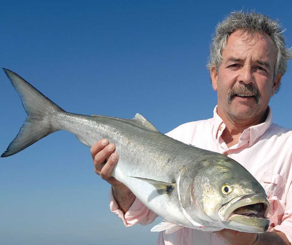 Bluefish on Blue Bottle Plug or Bluefish, Marty Bazata: Bluefish are easy to find most days in the Port Jeff area.