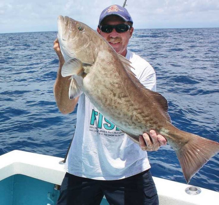 Gag Grouper Recreational Harvest - Coastal Angler & The Angler Magazine