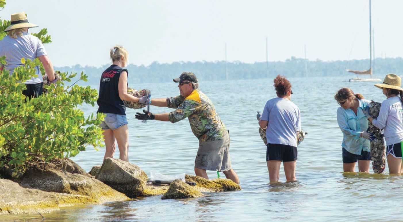 Brevard Zoo Oyster Gardening Program Summer Training For New