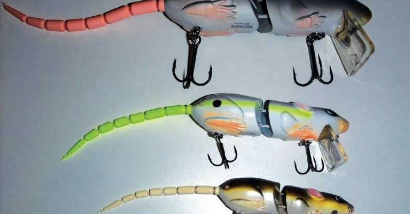 Lure of the Month: SPRO BBZ-1 RAT - Coastal Angler & The Angler