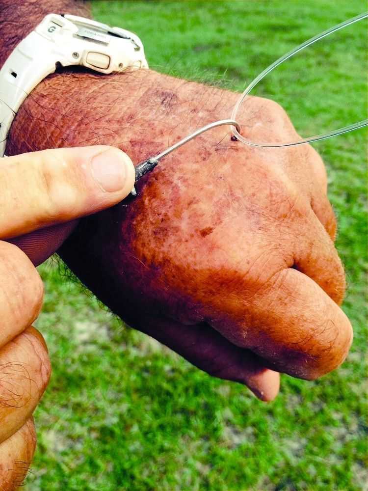 Got a Hook In Your Hand? - Coastal Angler & The Angler Magazine