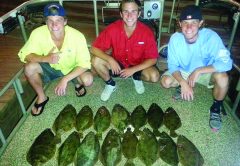 flounder