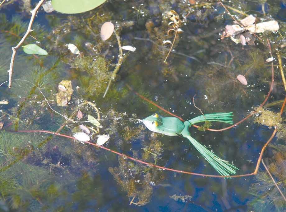Wantagh Twin Lakes. Weedless Frog