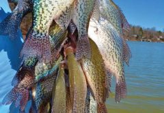 fishing-limit