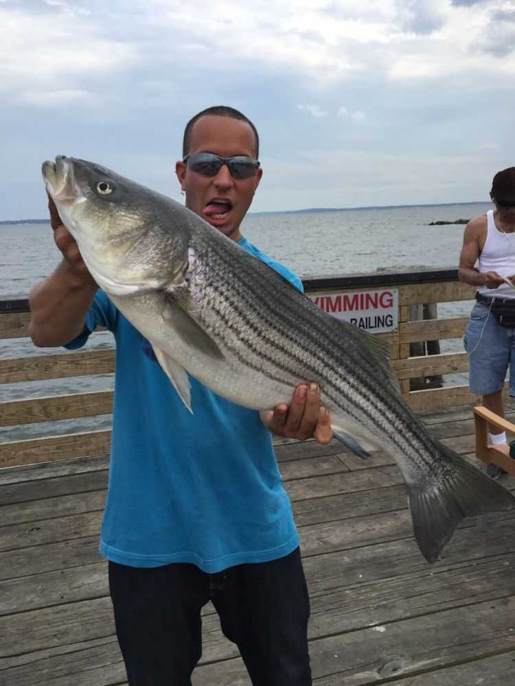 World Class Freshwater Striper Fishing - Coastal Angler & The Angler  Magazine