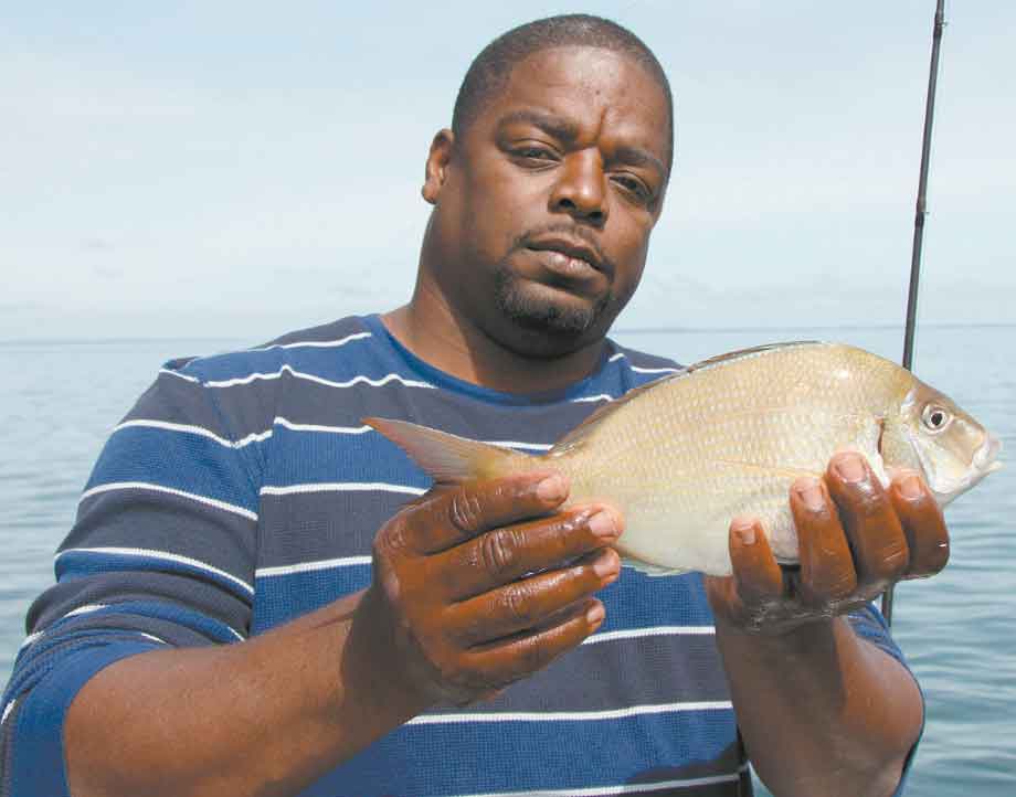 A nice porgy taken aboard the Peconic Star fleet out of Greenport.