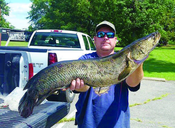 Record Snakehead Arrowed In Maryland Coastal Angler ...